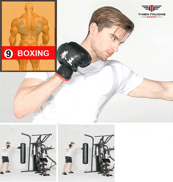 Tập Boxing với giàn tạ HQ-808P