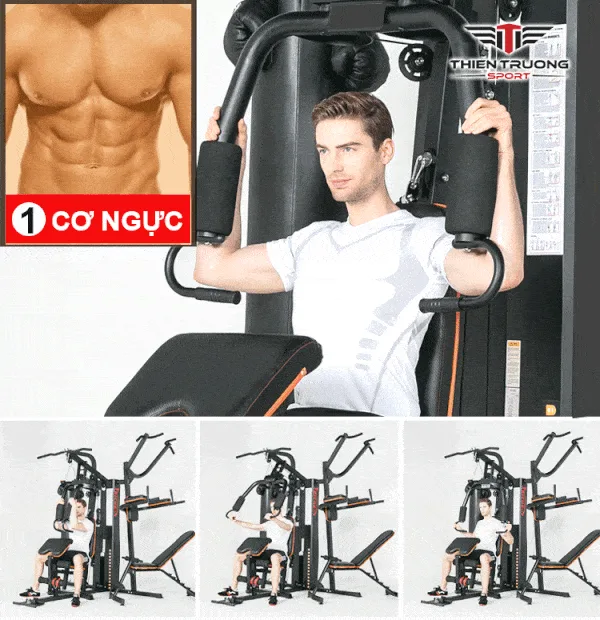 Tập ngực với giàn tạ HQ-808P