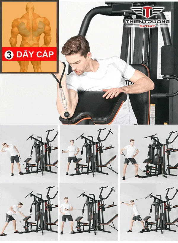 Bài tập tay trên giàn tạ đa năng HQ-808I