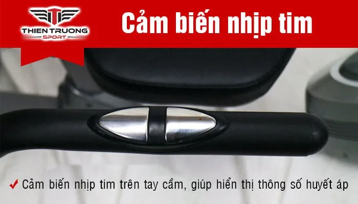 Xe đạp phục hồi chức năng BC-51023