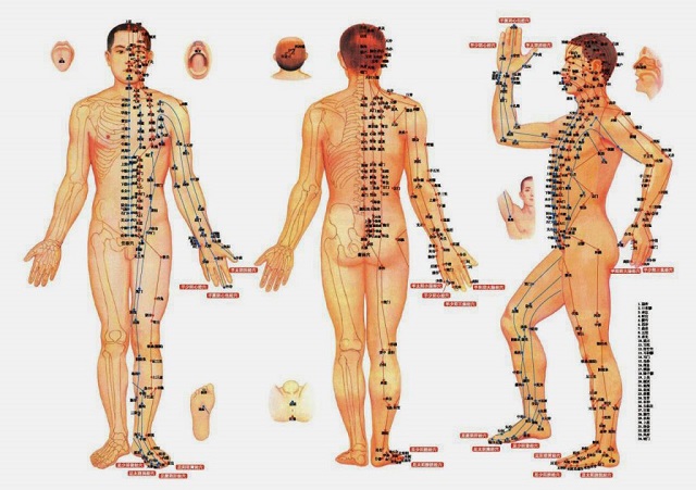 Ý nghĩa hệ thống kinh mạch - huyệt đạo ở trên cơ thể người